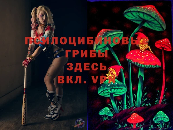 мет Белокуриха